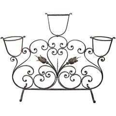 Charming Early 20th Century French Iron Planter 5