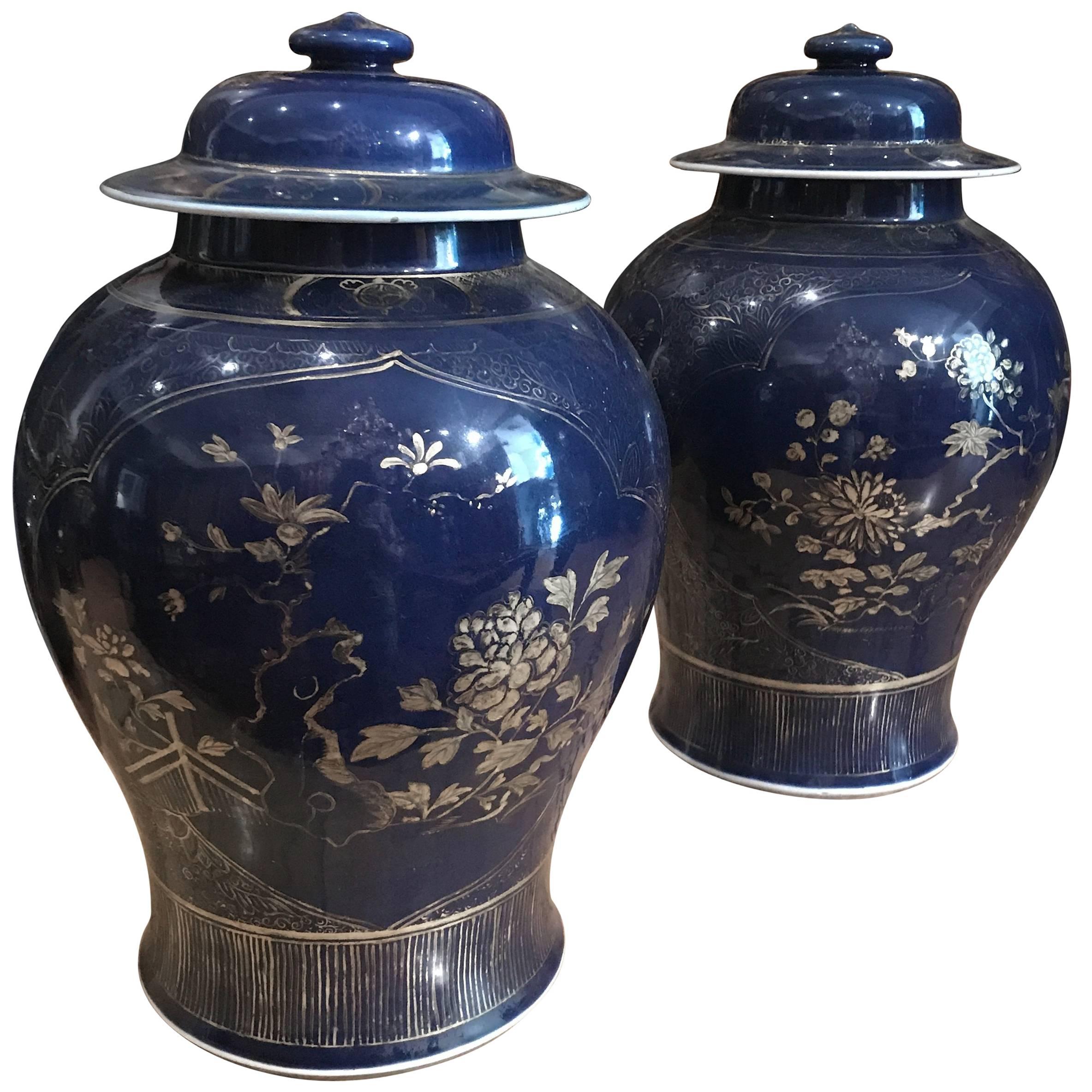 Paire de pots chinois en poudre bleu poudré décorés de dorures,  XVIIIe siècle   en vente