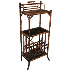19th Century English Bamboo Étagère with Magazine Stand