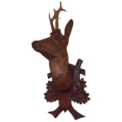 19th Century Austrian Black Forest Hunting Trophy with Deer Head