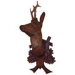 Trophée de chasse de la Forêt Noire autrichienne du 19ème siècle avec tête de cerf 