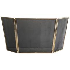 Retro Neoclassical Brass and Steel Fire Place Screen, 1970s