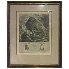 18th Century German Black Forest engraving by Johann Elias Ridinger