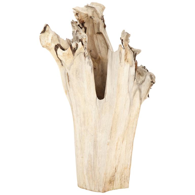 Cypress Root Driftwood Sculptures For Sale at 1stdibs