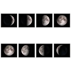 Phases of the Moon Prints