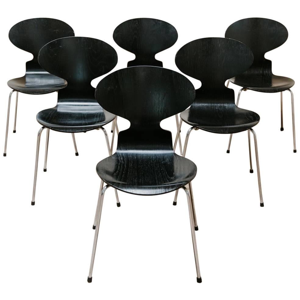 20th Century Set of Six Ant Chairs by Arne Jacobsen for Fritz Hansen