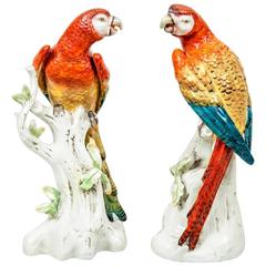 Pair of Antique Continental Porcelain Parrots, circa 1880