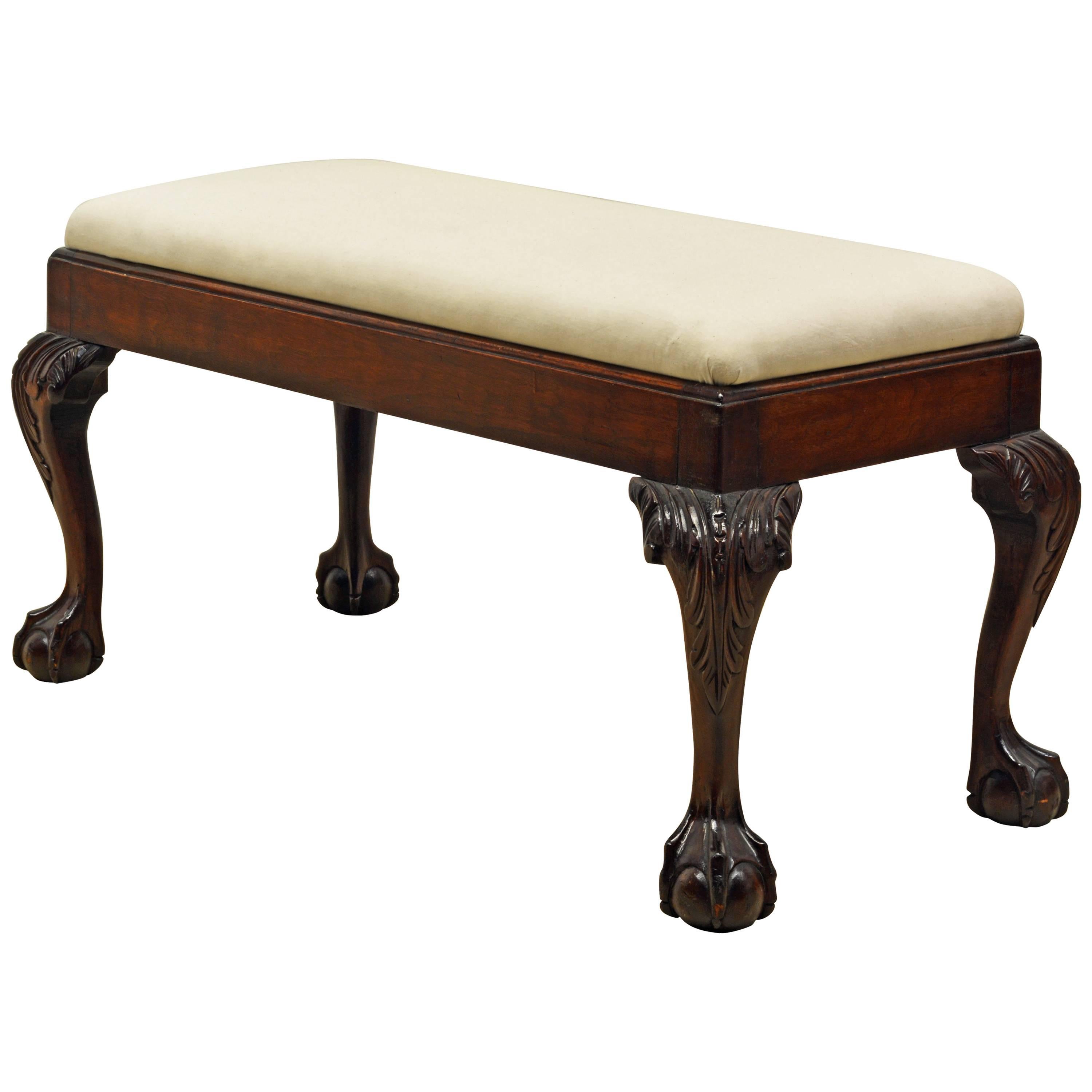 Attractive 19th Century Chippendale Style Mahogany Bench with Claw and Ball Feet