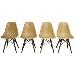 Ochre DSW Chairs by Charles and Ray Eames, 1950s, Set of Four
