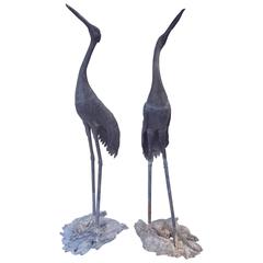 Pair of English Large Ornamental Lead Herons or Water Birds for the Garden