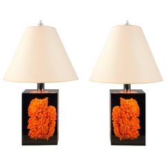 Pair of Acrylic and Coral Lamps, Spain, 2015 1
