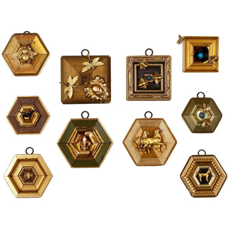 Series of "Museum Bees" Frames For Sale
