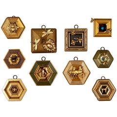 Series of "Museum Bees" Frames