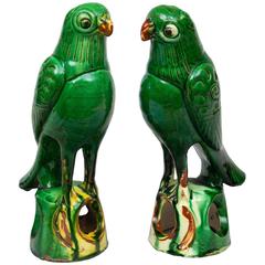 Pair of Chinese Green Parrots, circa 1880
