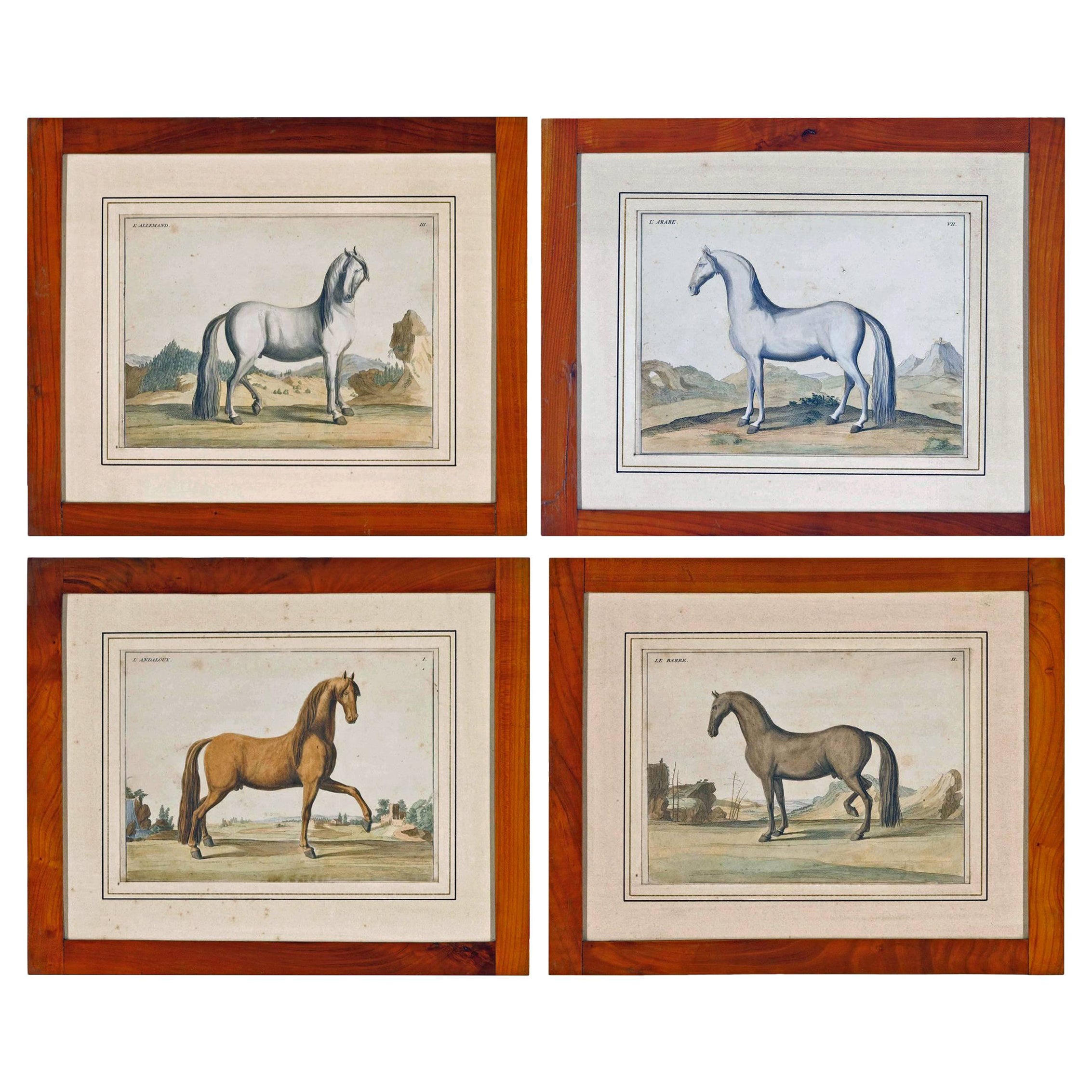 18th Century, Antique Horse Prints by Baron D'Eisenberg