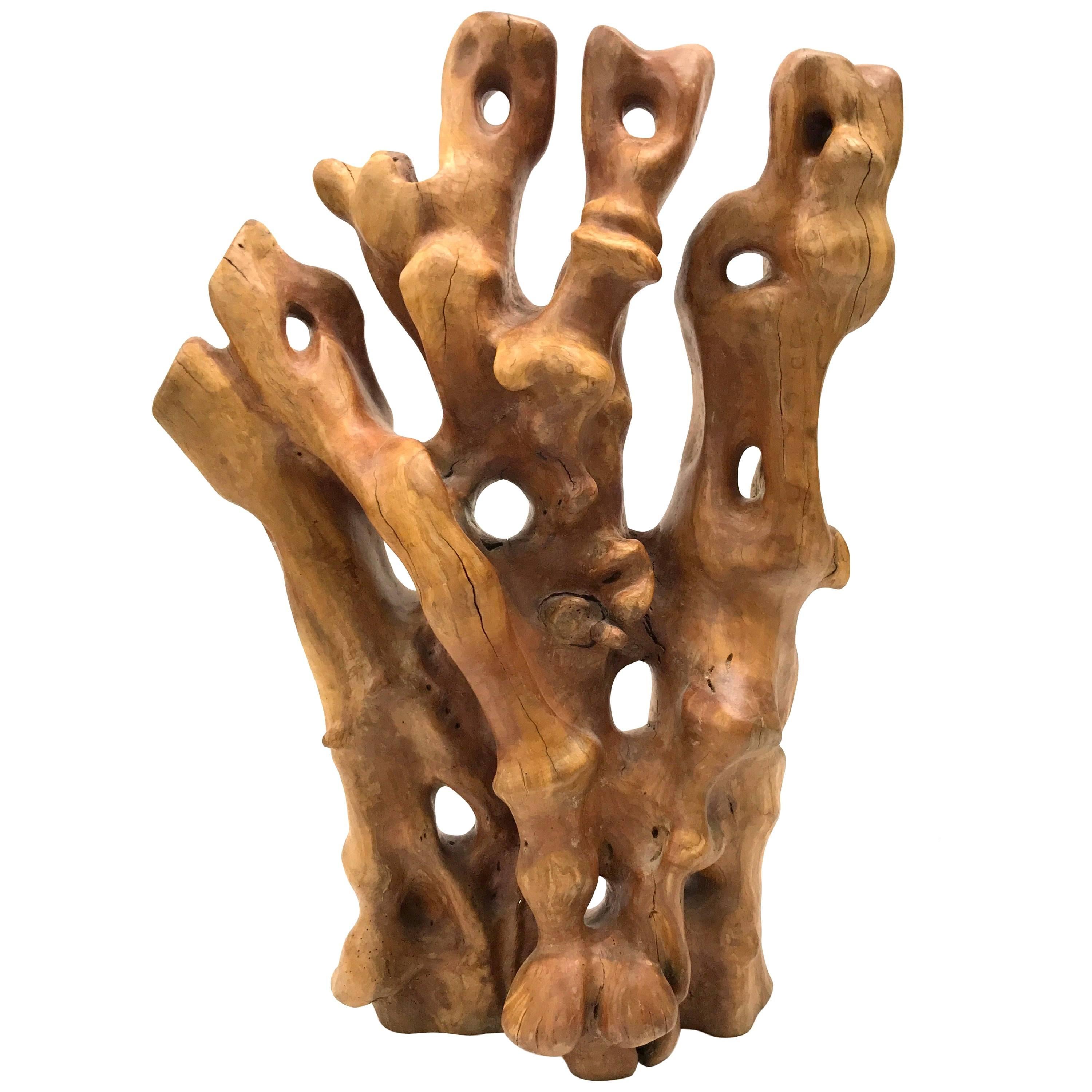 Abstract Root Wood Sculpture For Sale