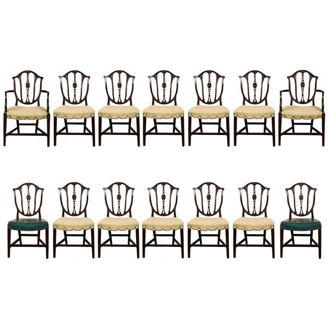 Set of 14 Classic Shield Back Dining Chairs