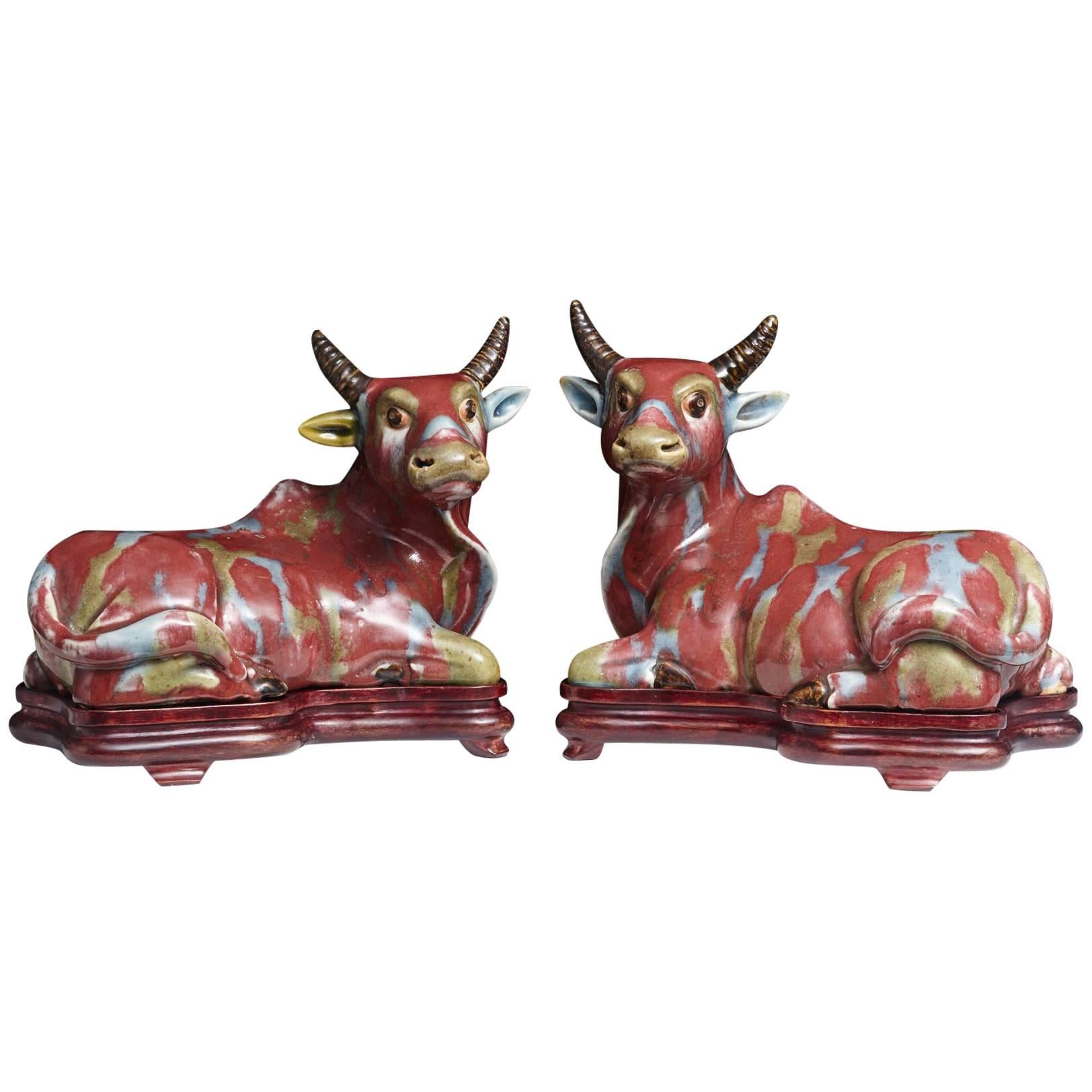 Pair of Chinese Porcelain Water Buffalos on Conforming Rosewood Stand
