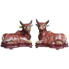 Pair of Chinese Porcelain Water Buffalos on Conforming Rosewood Stand