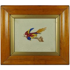19th Century Dobbs Watercolor Parrot Embossed Paper Bird's-Eye Maple Frame 5