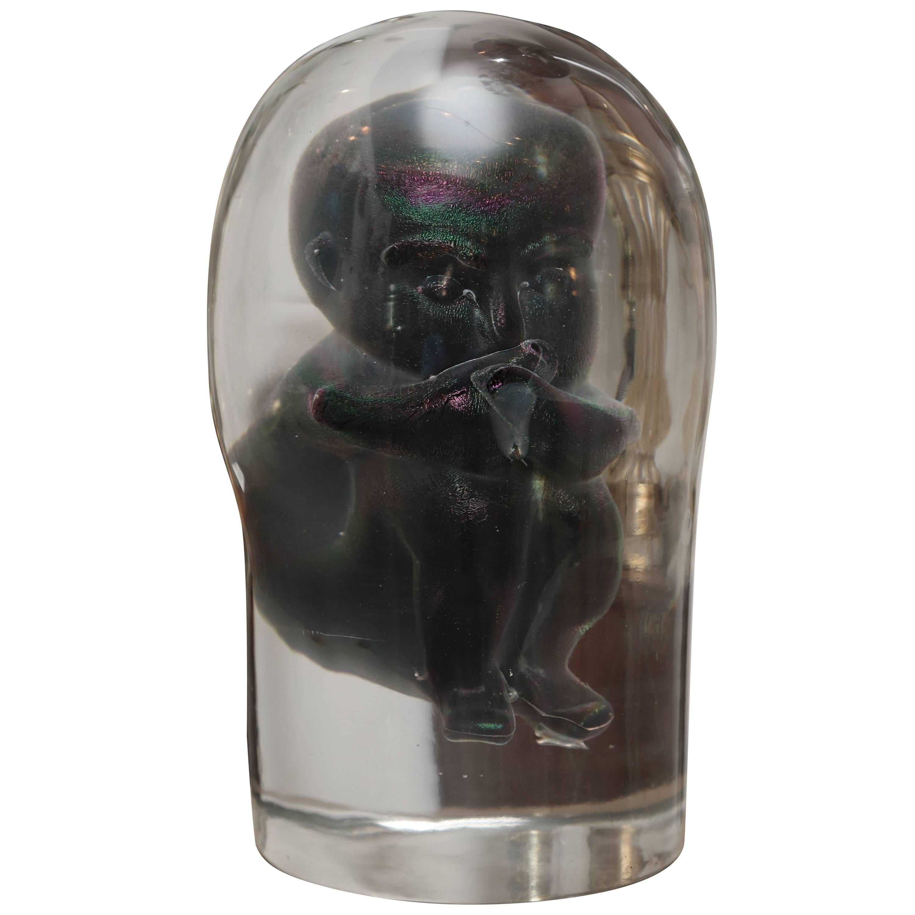 Bizarre Murano Glass Encased Fetus For Sale