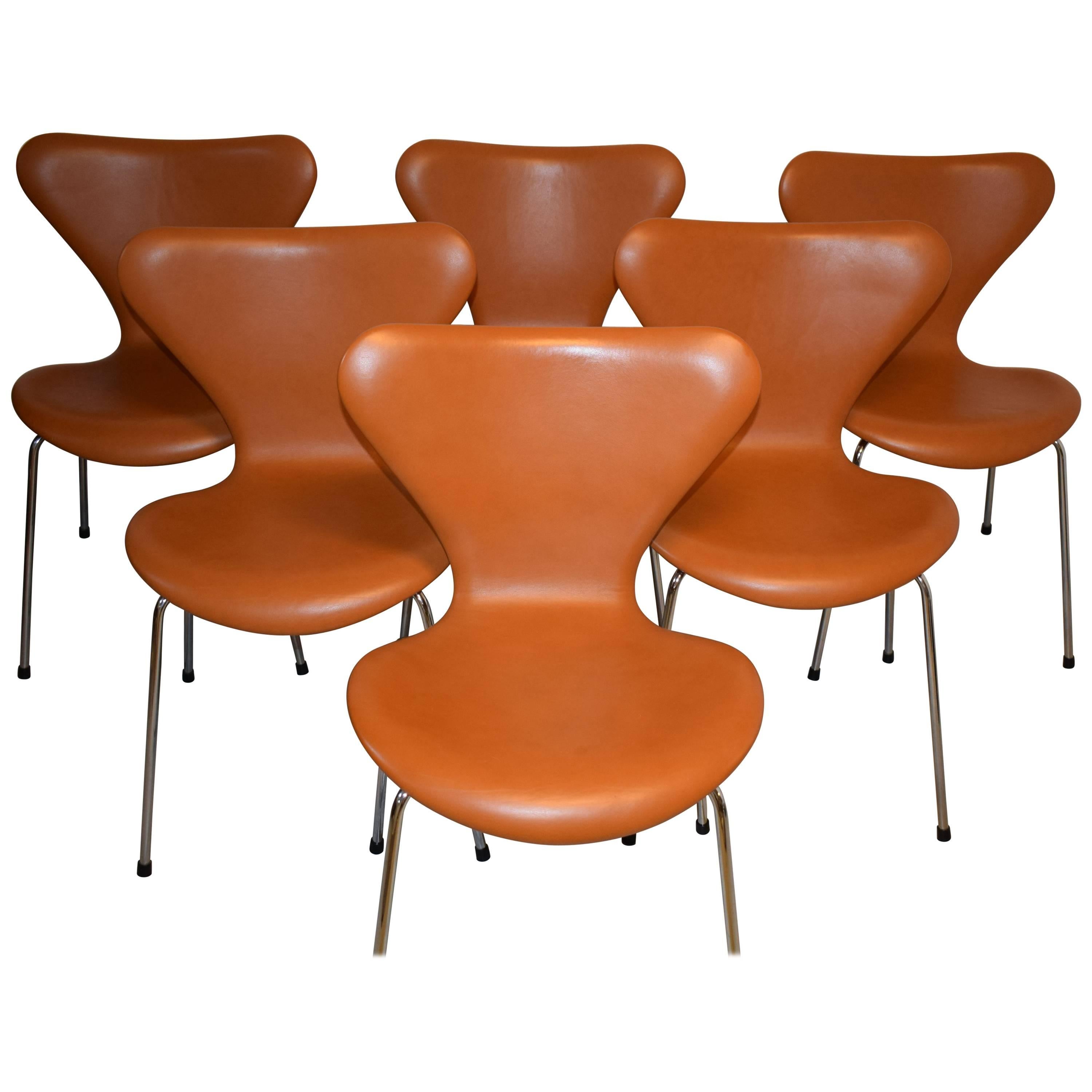 Arne Jacobsen Model 3107, Set of Six Chairs Brown leather For Sale
