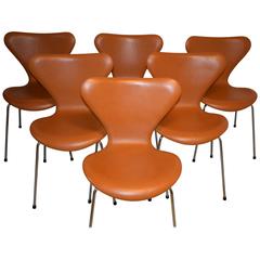 Arne Jacobsen Model 3107, Set of Six Chairs Brown leather