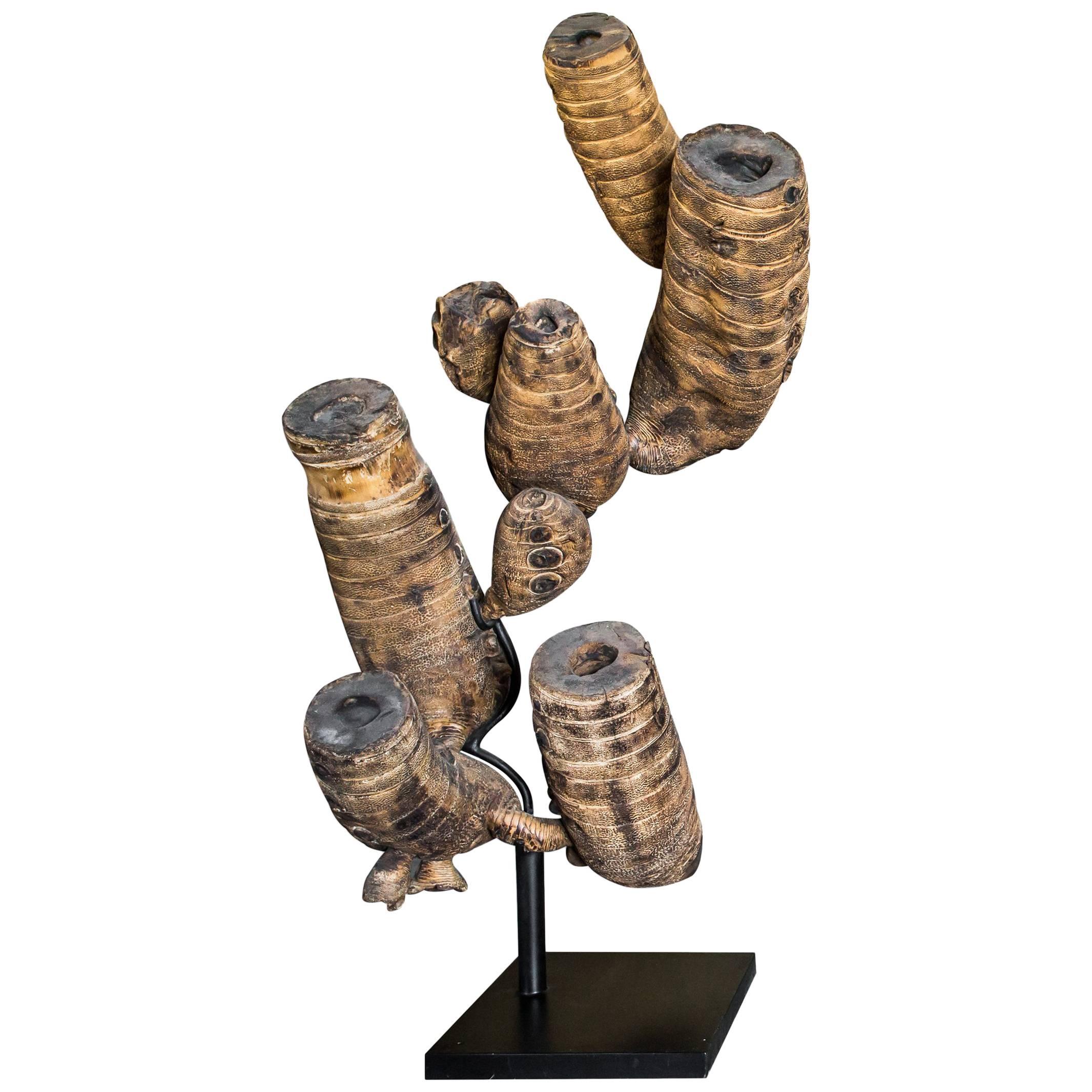 Natural Bamboo Root Sculpture For Sale