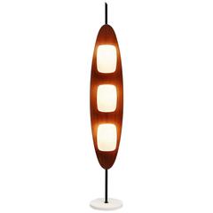 Goffredo Reggiani Surfboard Floor Lamp, Italy, 1960