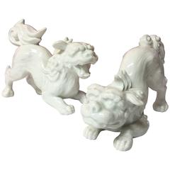 Rare Pair of White Porcelain Blanc De Chine Foo Shi Dogs by Fitz and Floyd