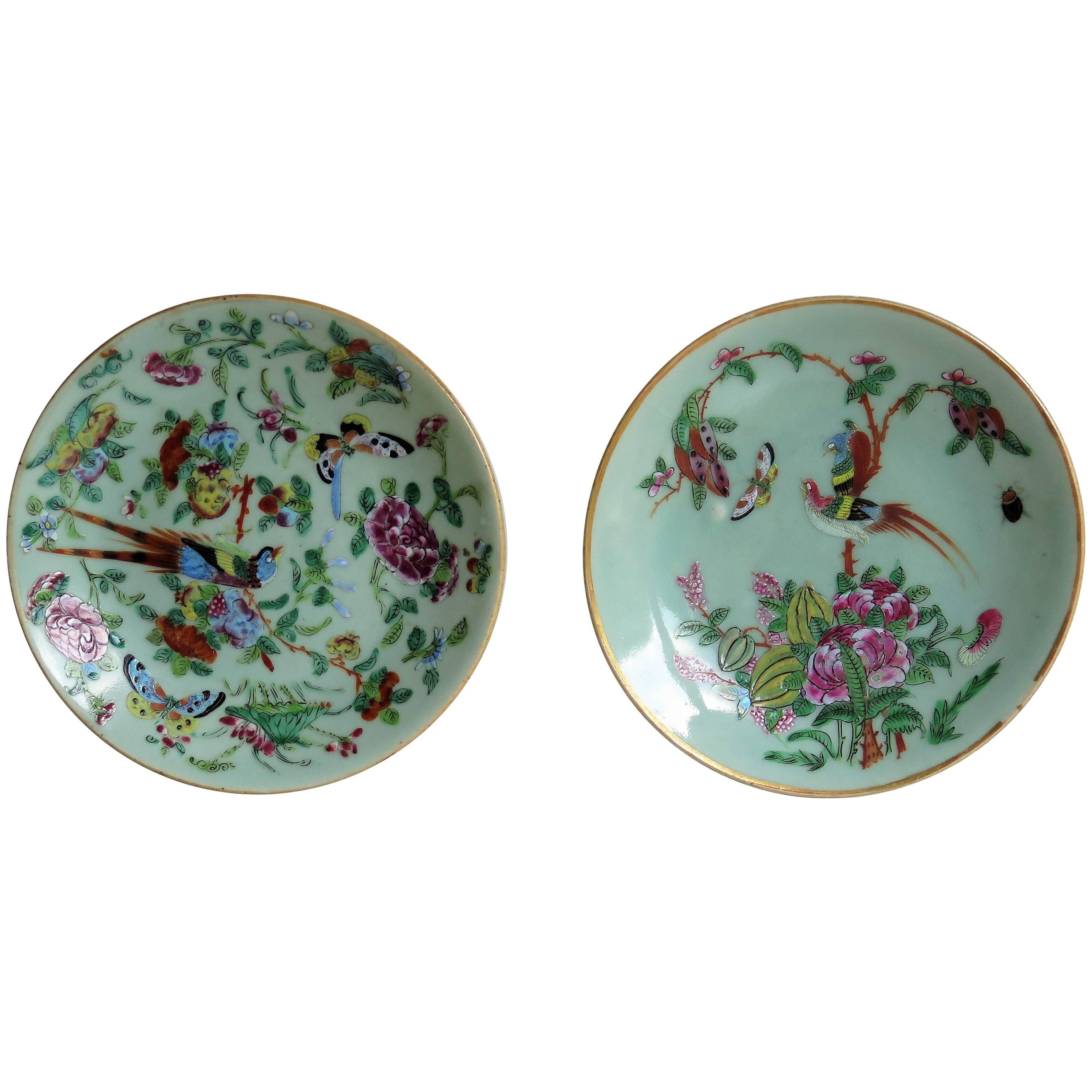 Two Chinese Plates, Porcelain, Celadon, Birds and Butterflies, Qing, circa 1830