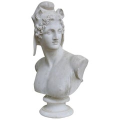 Marble Bust of Perseus 4
