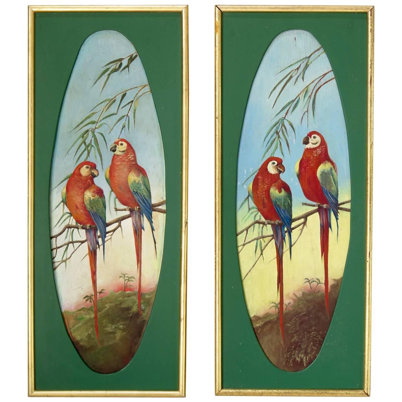 Pair of Decorative Parrot Paintings, France, circa 1920s For Sale