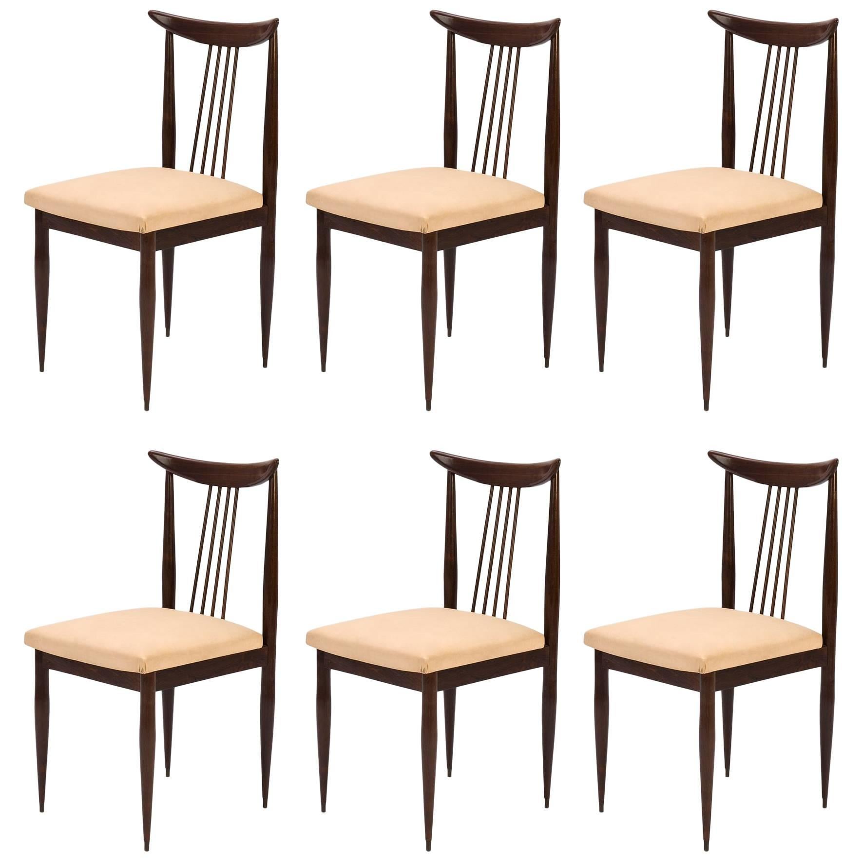 Giuseppe Scapinelli 1960s set of six dining chairs in Jacaranda and Fabric For Sale