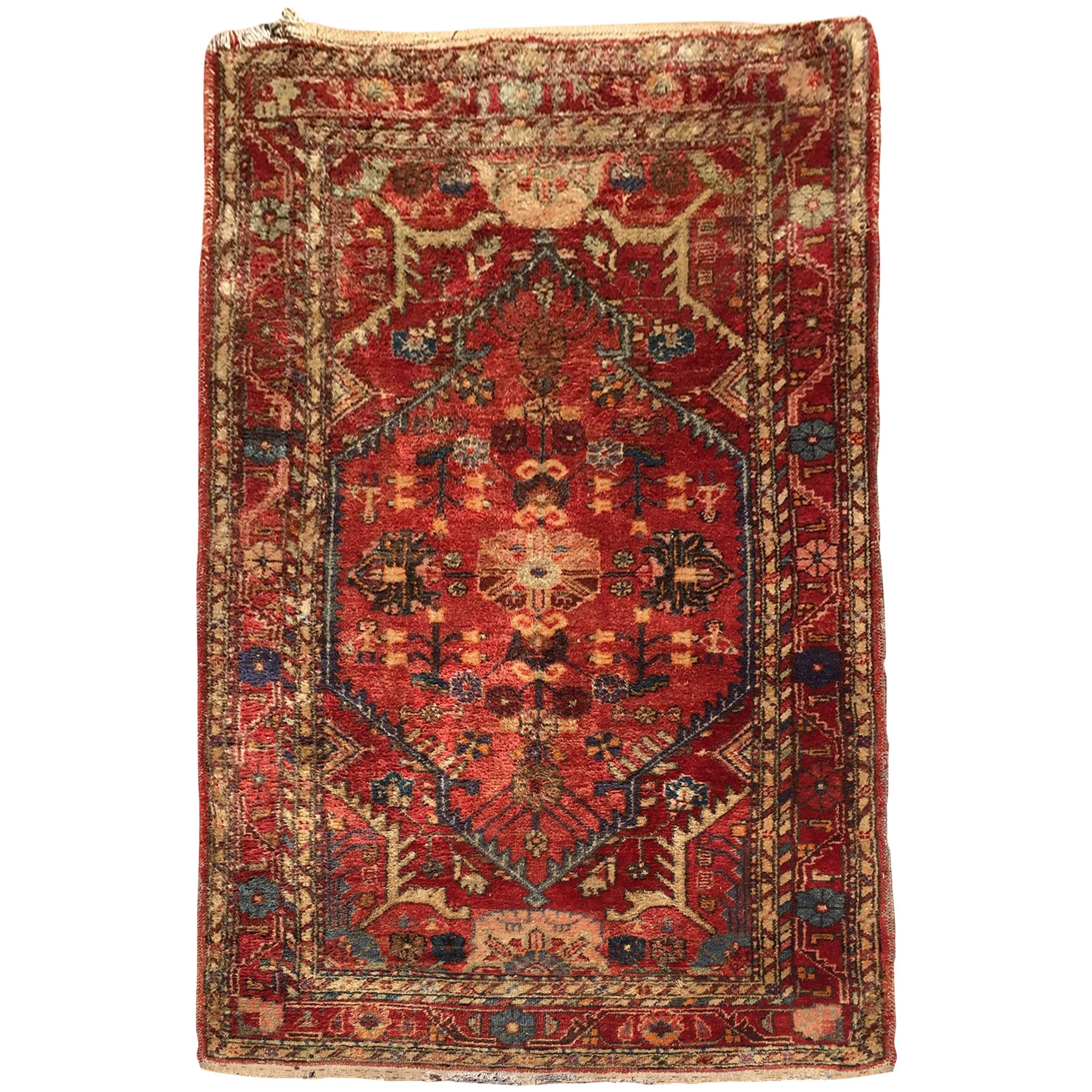 Hand-Knotted Rug from Turkey