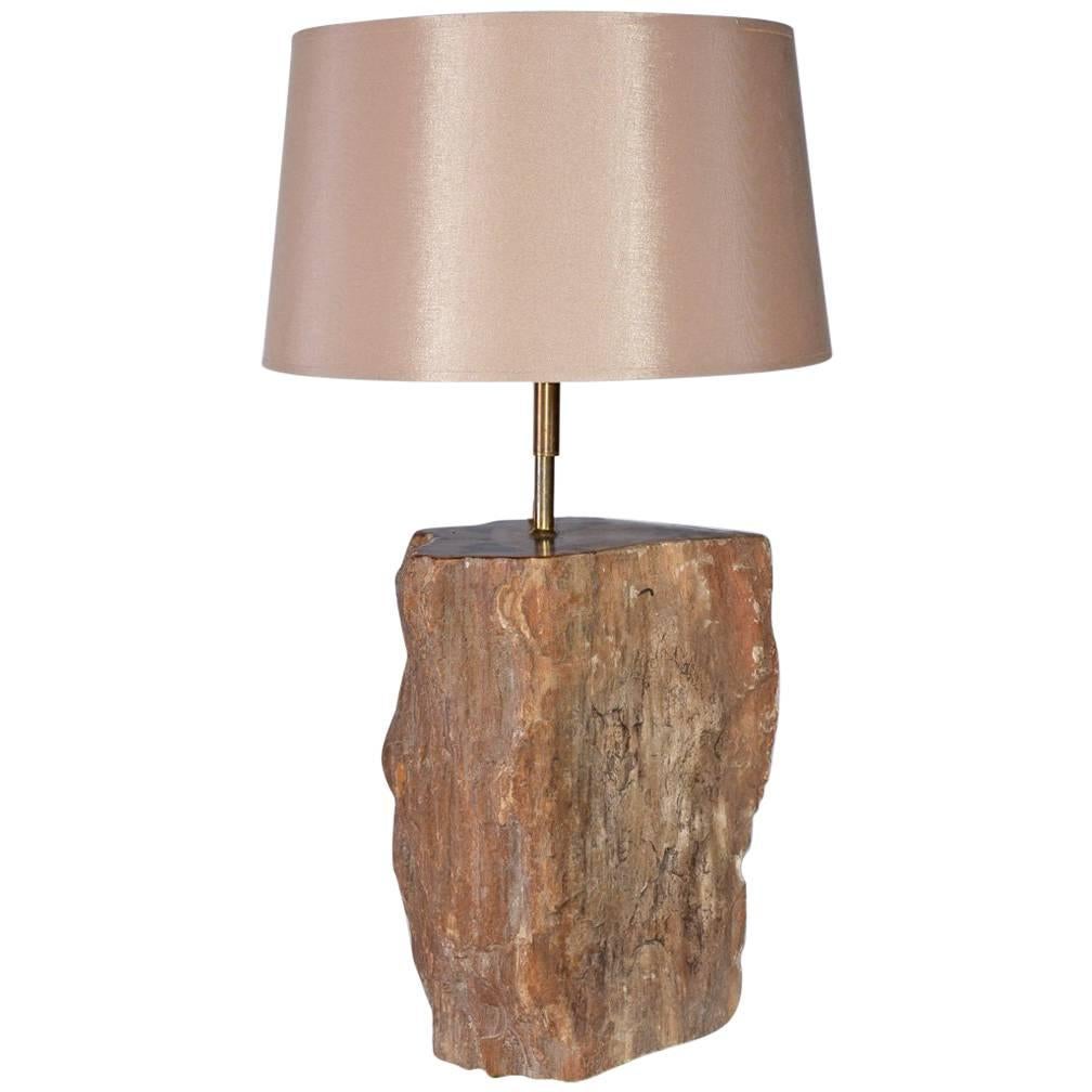 Zeitgenössische Lampe aus braunem versteinertem Holz in Braun im Angebot