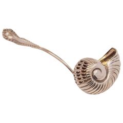 Antique Edwardian Silver Plated Nautilus Shell Sugar Sifter, circa 1905