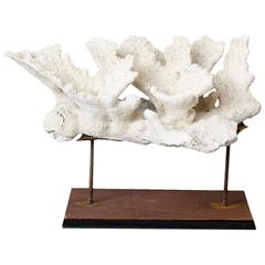 Large Vintage White Coral Specimen on Custom Made Iron Stand II 1