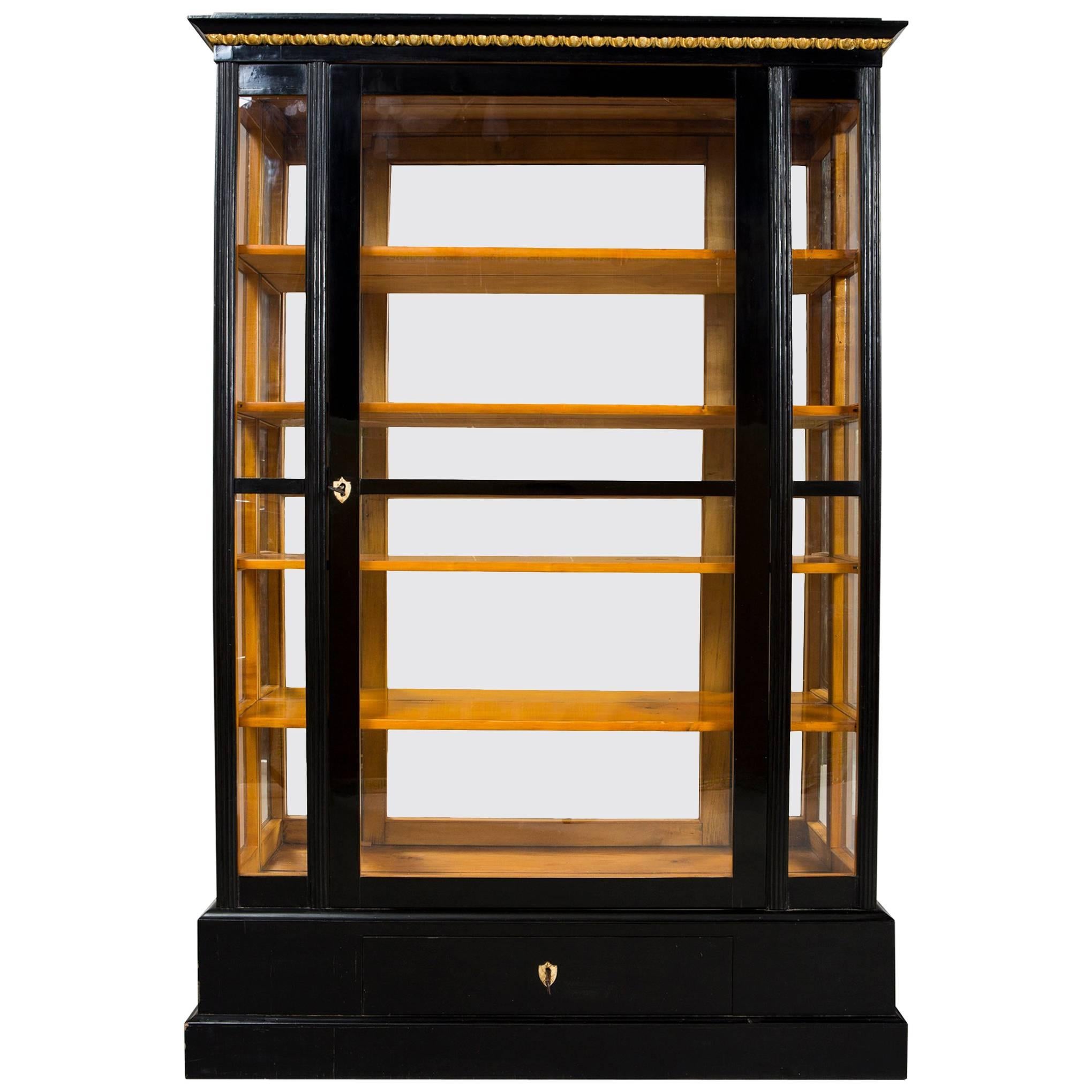 19th Century Empire Display Cabinet from Austria, Shellac polish, Ebonized