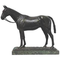 Master Robert Bronze Horse Sculpture by Pauline Boumphre