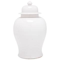 Chinese Small Cloud Baluster Jar 11