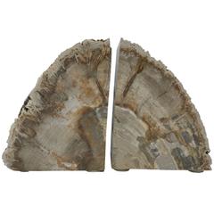 1950s Petrified Wood Bookends, Pair 8