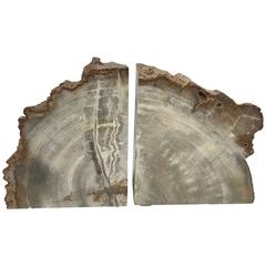 1950s Petrified Wood Bookends, Pair