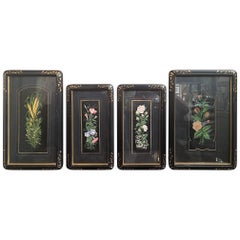 Antique Set of Four Framed Botanical Prints, 19th Century