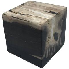 1950s Petrified Wood Cube Objet