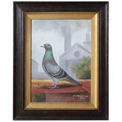 Portrait of a Prize Pigeon