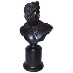 Retro Terra Cotta Bust of Apollo