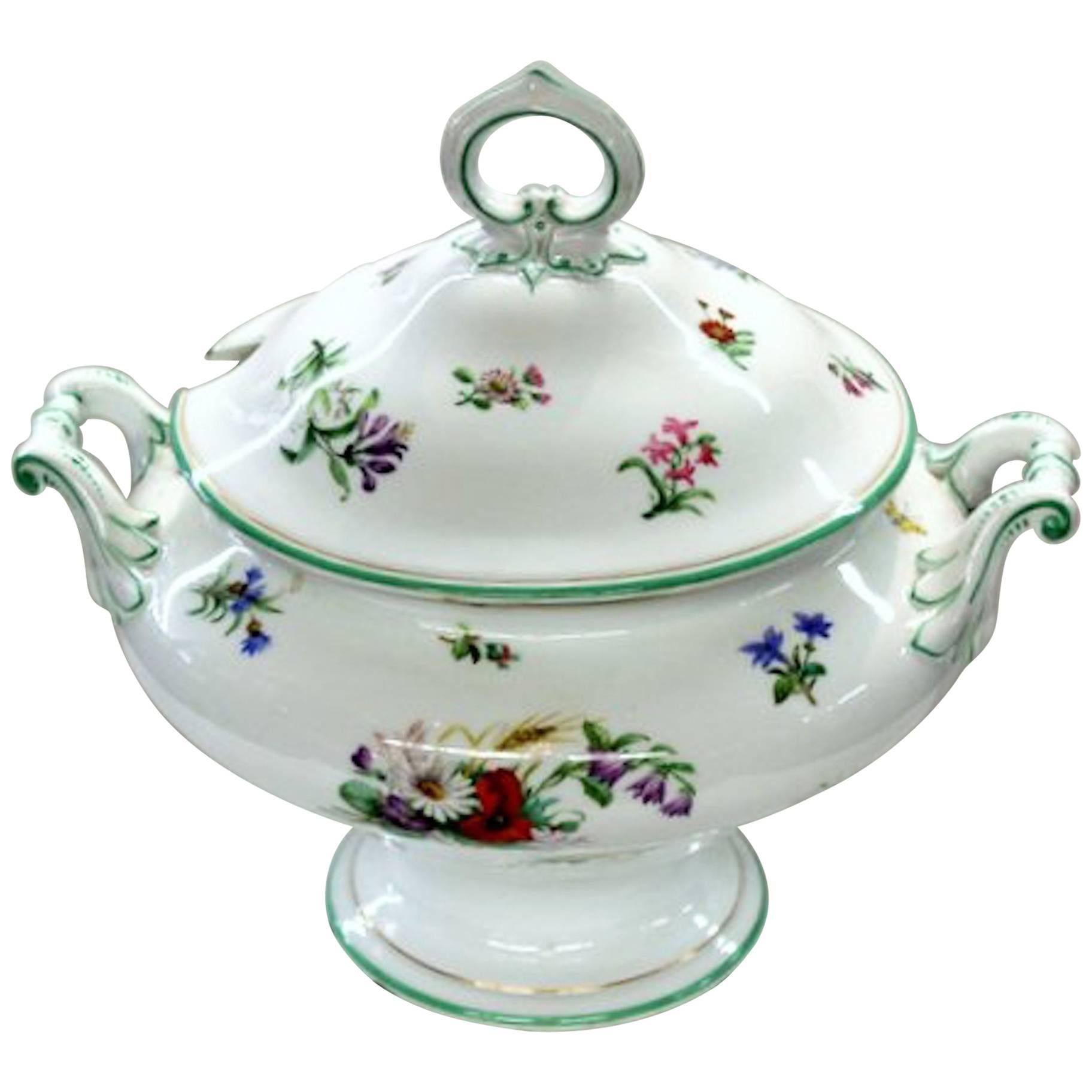 Continental Hand-Painted Porcelain Soup Tureen with Botanicals and Insects For Sale