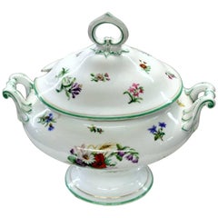Antique Continental Hand-Painted Porcelain Soup Tureen with Botanicals and Insects