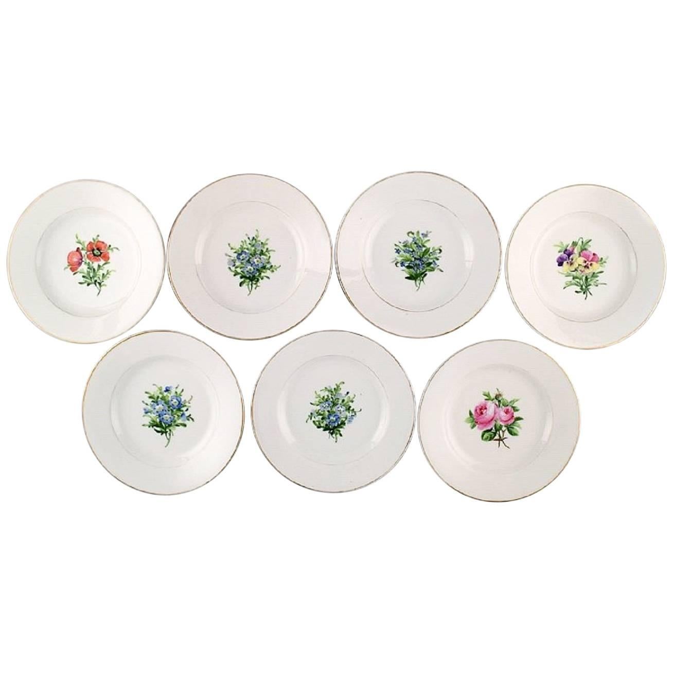 Seven Antique Royal Copenhagen Plates in Flora Danica Style